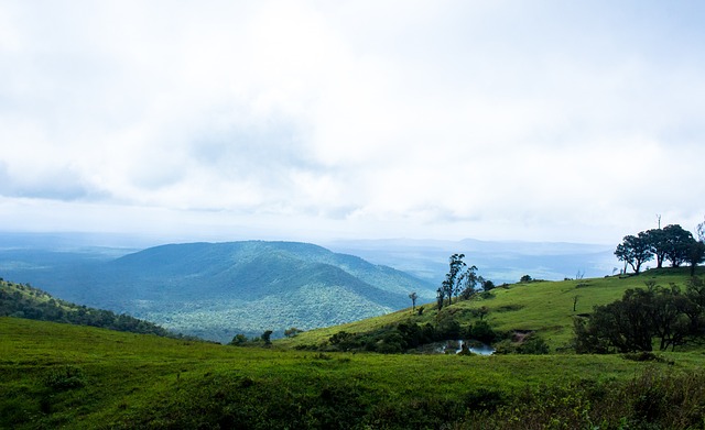会终止他的 会终止他的