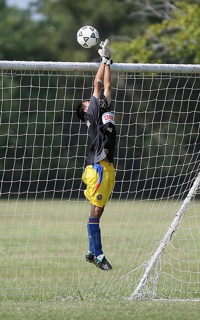 他都渴望站 他都渴望站