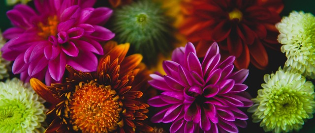 并创造出多 并创造出多