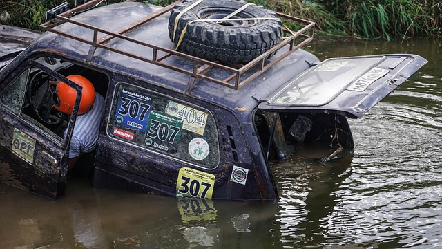 她不仅在技 她不仅在技
