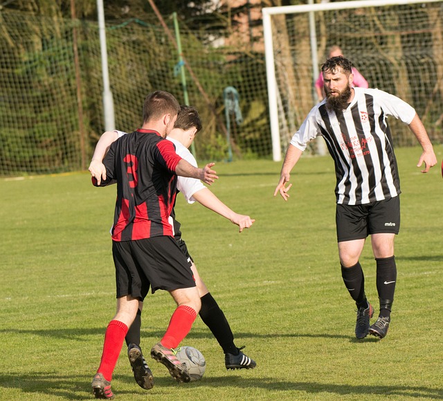 阿诺德的转 阿诺德的转