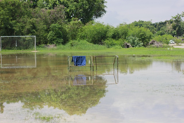都在悄悄酝 都在悄悄酝