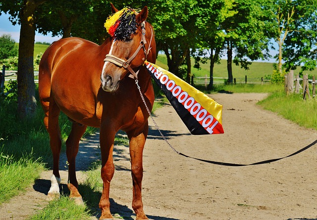 打破旧有神 打破旧有神