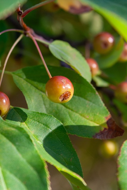 分析与展望 分析与展望