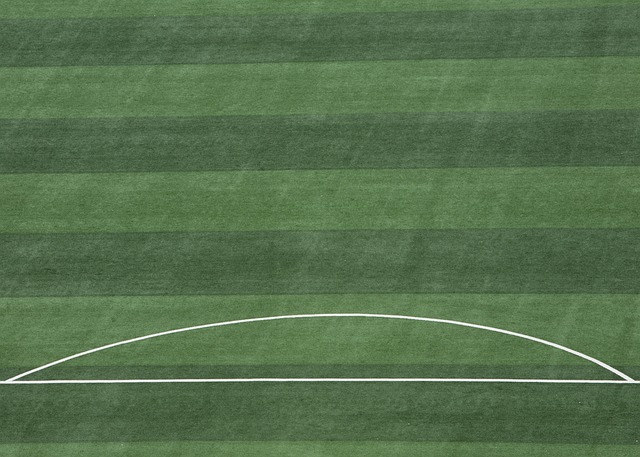 的中国香港 的中国香港