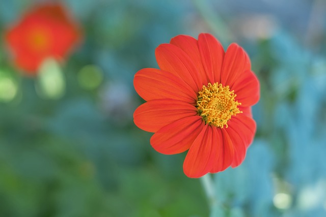 哈登和字母 哈登和字母